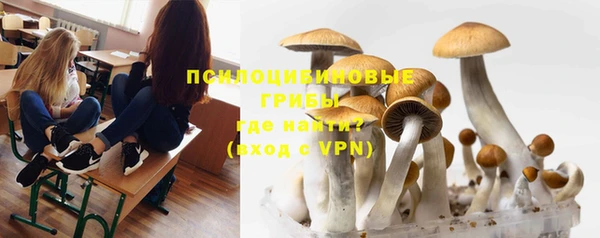 шишки Карталы