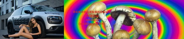 шишки Карталы