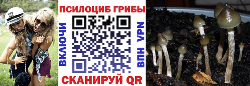 Галлюциногенные грибы Psilocybine cubensis  купить закладку  Обнинск 